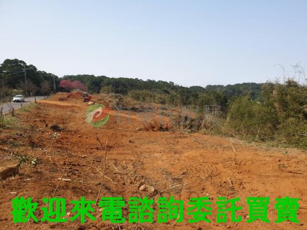 新北三芝農地-3