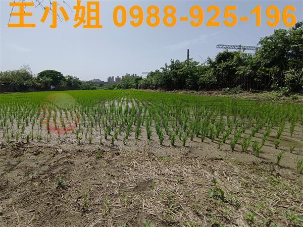 桃園區農地-1