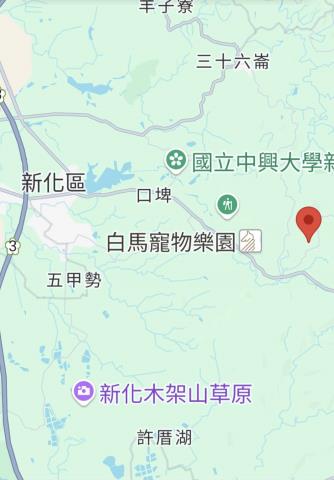 台南新化農地-11