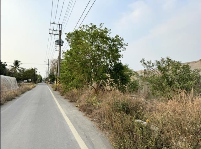 屏東新埤農地-6