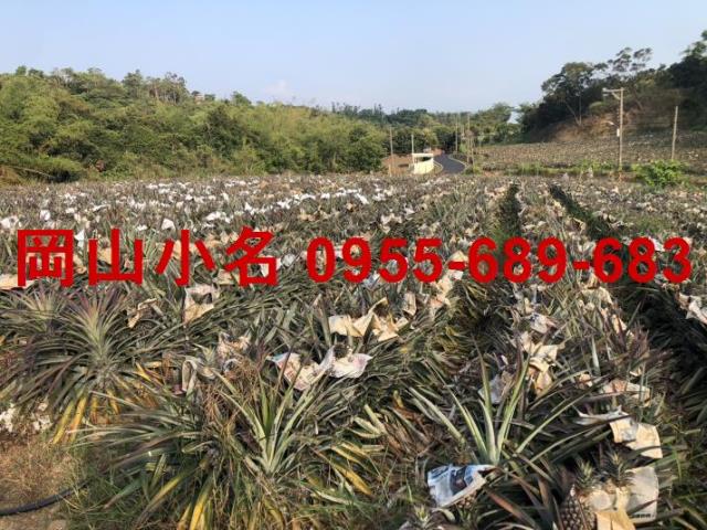 鳥松農地-1