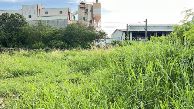 岡山農地-4
