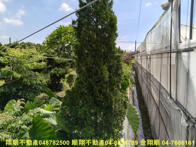 溪州農地-5