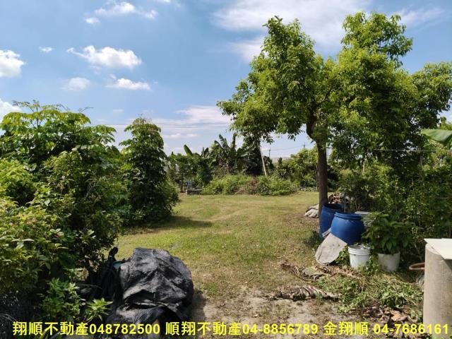 溪州農地-9
