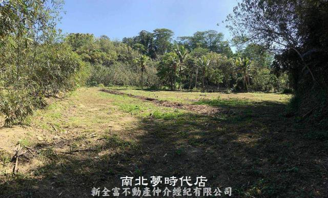 新化農地-4