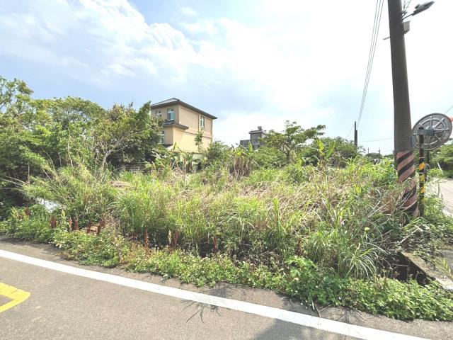桃園農地-11