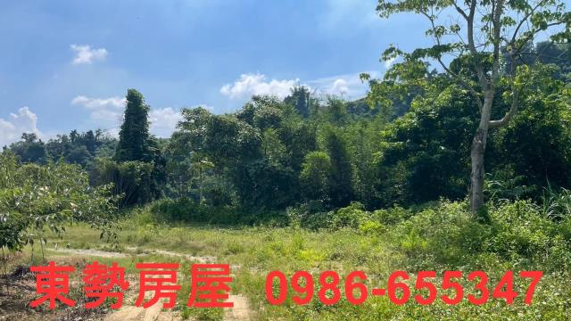 苗栗農地-10