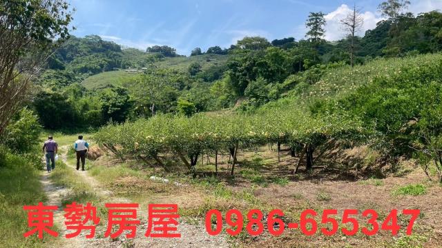 苗栗農地-11