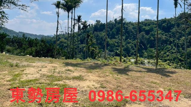 苗栗農地-13