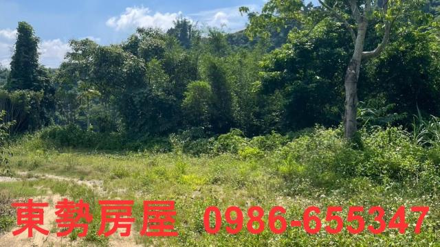苗栗農地-14