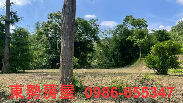 苗栗農地-15