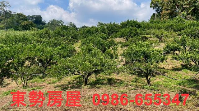 苗栗農地-2