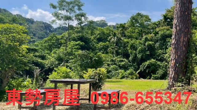 苗栗農地-3
