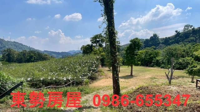 苗栗農地-6