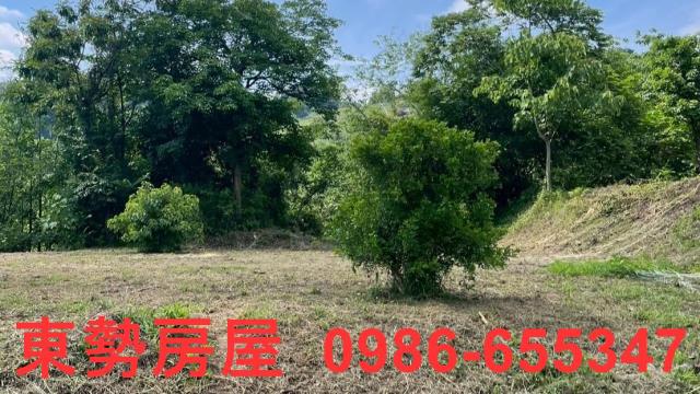 苗栗農地-9