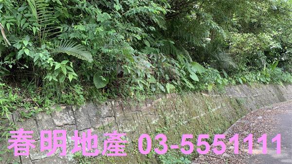新竹林地-1