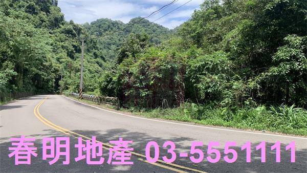 新竹林地-2