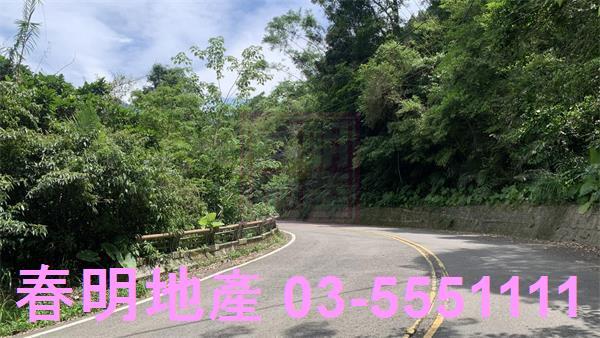 新竹林地-3