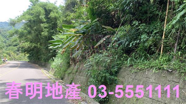 新竹林地-5
