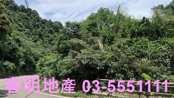 新竹林地-6