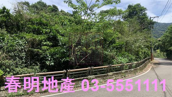 新竹林地-9