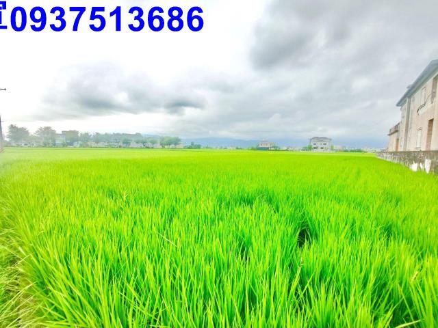 宜蘭宜蘭市農地-3