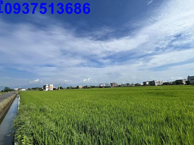 宜蘭壯圍農地-5