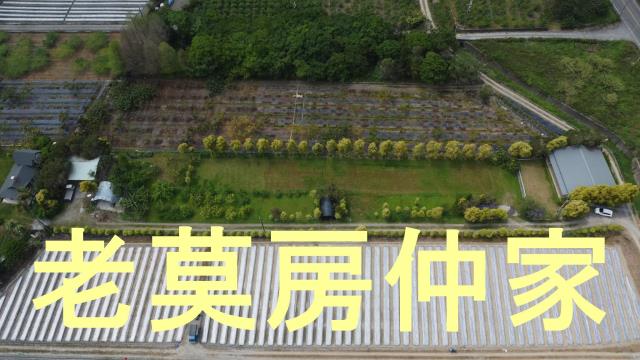 南投水里農地-15