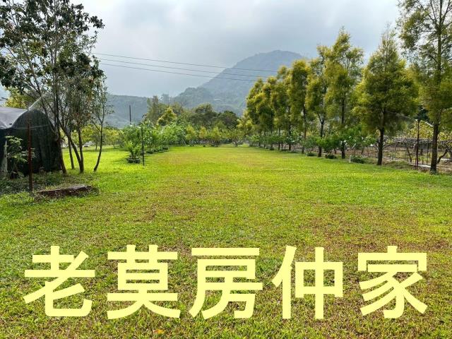南投水里農地-8