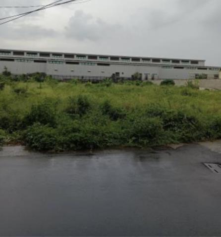 高雄大社農地-1