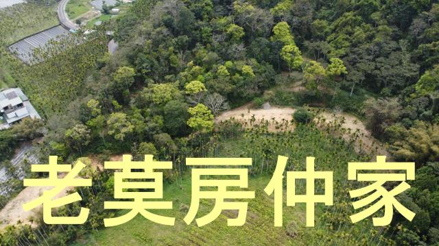 魚池農地-11