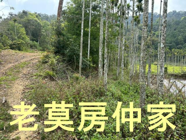 魚池農地-1