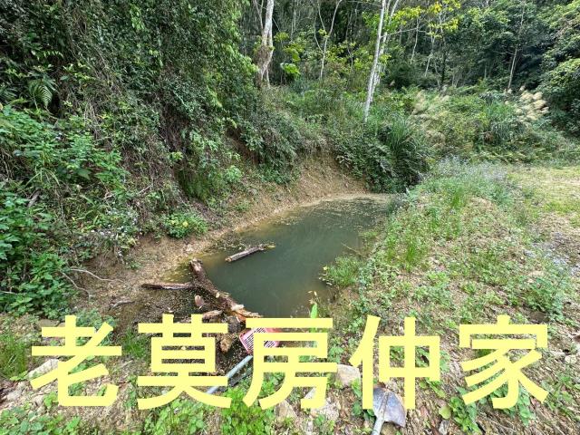 魚池農地-3