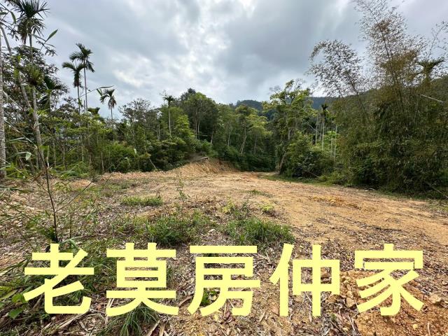 魚池農地-6
