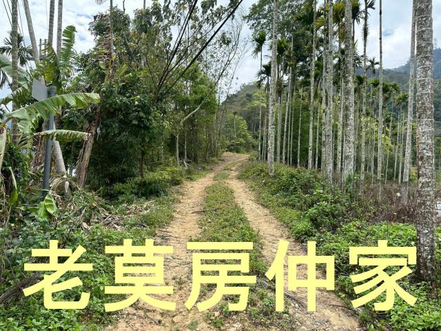 魚池農地-8