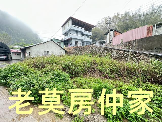 埔里建地-5