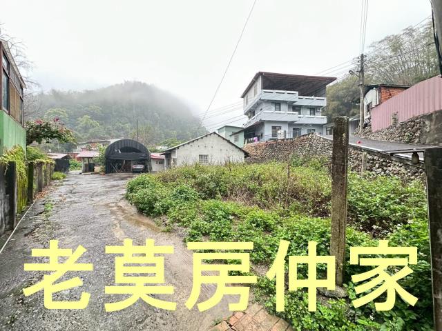 埔里建地-6