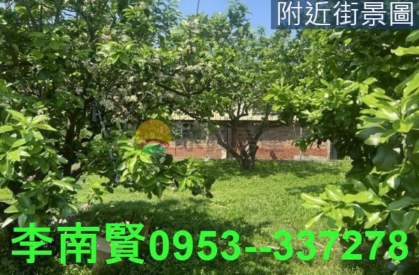 麻豆農建地-5