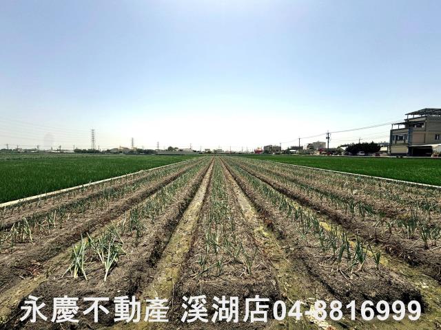 溪湖農地-10