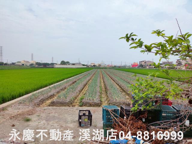 溪湖農地-6