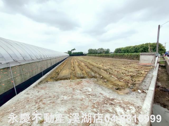 田尾農地-1