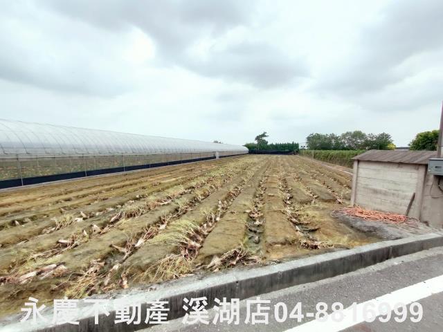 田尾農地-4