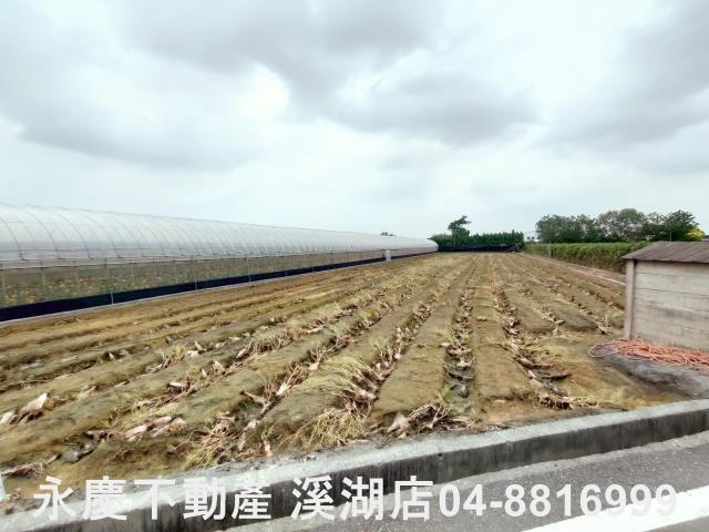 田尾農地-5
