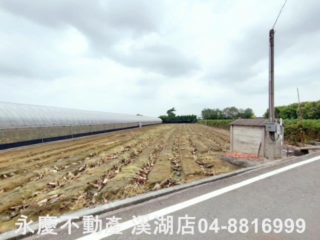 田尾農地-6