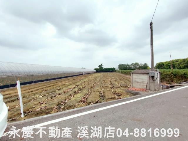 田尾農地-8