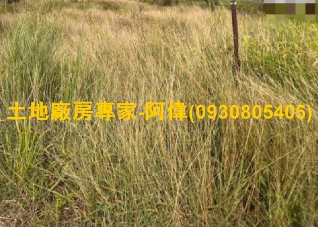 大寮農地-1