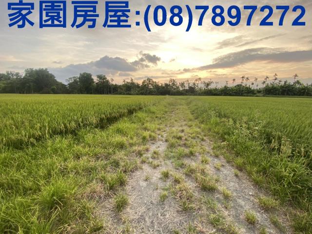 屏東農地-3