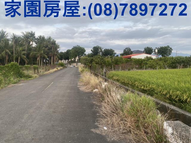 屏東農地-5