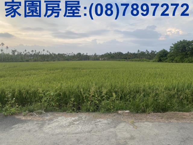 屏東農地-6
