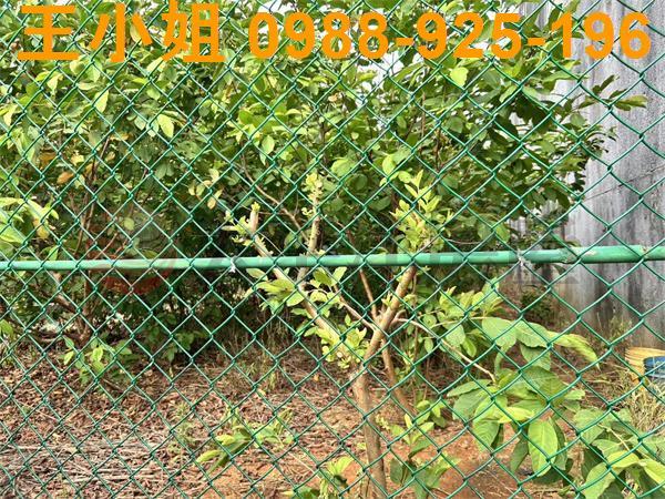 桃園大園農地-2